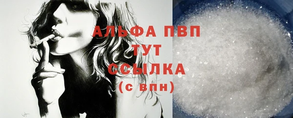 сатива Белоозёрский