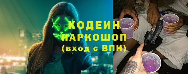 гидра Богородск