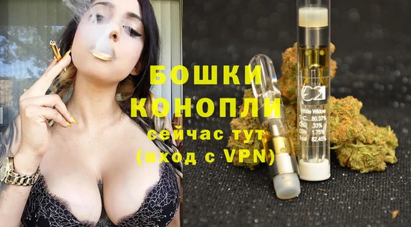 сатива Балахна