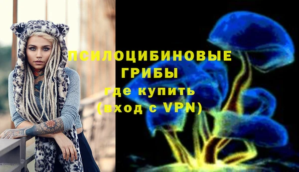 сатива Балахна